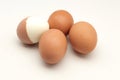 Several chicken eggs