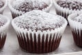 Several chocolate muffins on the white square plate