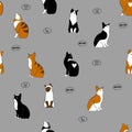 Several colorful cats sitting pattern