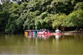 Several colorful goose-shaped pedal boats parked at the lake