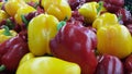 Several colorful green, yellow, red, purple hot shiny Shimla chilli or peppers Royalty Free Stock Photo