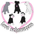 Several colorful schnauzers sitting closed by heart and text love schnauzers