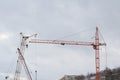 Several construction cranes work at a construction site. Silhouettes against the white sky