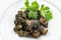 Cooked Burgundy snails in white plate Royalty Free Stock Photo