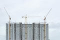 Several cranes are building a building . Royalty Free Stock Photo