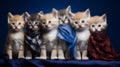 Several cute kittens in clothes smiling studio group photo