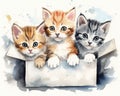 Several cute kittens are sitting in a box.