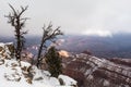 Several dead trees on the edge of a cliff Royalty Free Stock Photo