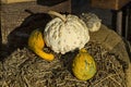 Several decorative autumn pumpkins on an straw bale background