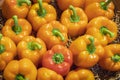 Several Delicious Orange Peppers Close Up Royalty Free Stock Photo