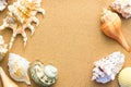 Several different seashells in the sand, top view. Background on resort theme, sea beach Royalty Free Stock Photo