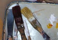 Several dirty brushes on the steel tray