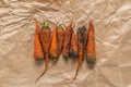 Several dirty carrots on a crumpled paper