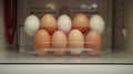 several eggs are placed in the refrigerator