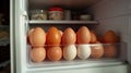 several eggs are placed in the refrigerator