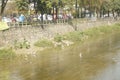 Several egrets in shallow water river play leisure, very lovely appearance