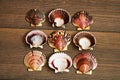 Several empty beautiful scallop shells patterned on a brown table