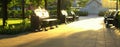 Several empty benches in a city square before sunset among green trees and bushes