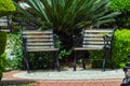 ÃÂ several empty wooden bench stands in the park on the sidewalk. On the background there is a green grass and lawn. No one. A Royalty Free Stock Photo