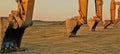 Excavators parked in a row Royalty Free Stock Photo