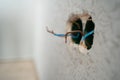 Several exposed electrical copper wires protruding from a whitewall. electrical wires and connector installed in Royalty Free Stock Photo