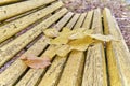 Several fallen leaves on an old shabby yellow wooden park bench. Autumn scene. Royalty Free Stock Photo