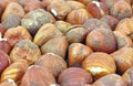 Several filbert nuts Royalty Free Stock Photo