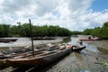 Several fishing canoes docked on the river in the Acupe district in the city of Santo Amaro, Bahia