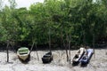 Several fishing canoes docked on the river in the Acupe district in the city of Santo Amaro, Bahia