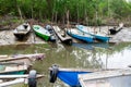 Several fishing canoes docked on the river