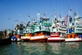 Several fishing ships moored in the port