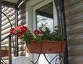 several Flower pots With Flowering Plants on the porch in front of the entrance to the country house