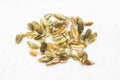 Several freekeh wheat grains close up on gray