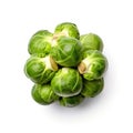 Several fresh Brussels sprouts together ingredients for food on a white background Generative AI Illustration