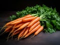 Several fresh perfect orange carrot vegetables with leaves on a wooden table. The carrot harvest, healthy natural