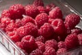 Several fresh raspberries in a clear plastic