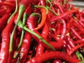 several fresh red chilies