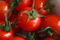 Fresh red tomatos in a white bowl in detail Royalty Free Stock Photo