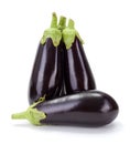 Several fresh ripe eggplants (Solanum melongena) Royalty Free Stock Photo