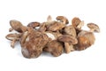 Several fresh shiitake mushrooms