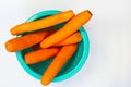 Several freshly peeled carrots in a blue bowl Royalty Free Stock Photo