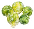 Several frozen Brussels sprouts isolated on white