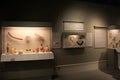 Several glass encased items in extensive Egyptian exhibit,Institute of History and Art,Albany,Mew York,2016