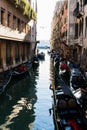 Several gondolas moored in Venice