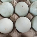 Several green duck eggs were placed on the tray by the trader