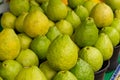 Several guavas arranged to be sold at a fair.