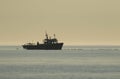 Several gulls or seagulls following a fishing boat in silhouette Royalty Free Stock Photo