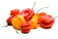 Several habanero chilis on a pile Royalty Free Stock Photo