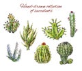 Several hand-drawn cacti. Illustration of succulents isolated on