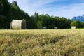 Several hay bale at fresh mowed meadow Royalty Free Stock Photo